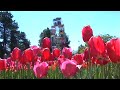 Floriade - Canberra\ Floriade - Canberra\