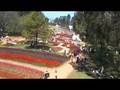 Floriade - Canberra's Flower Festival