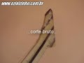 ozielzinho   apresentando a guitarra ícone   sua signature
