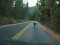 Missoula Longboarding - Longboard down Pattee Canyon Rd
