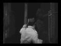 Baby Shakes - Love\