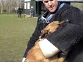 nierlenders endor knpv training nierlenders endor knpv training