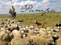 Pampa