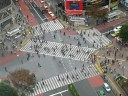 Shibuya intersection