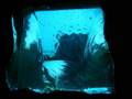 Subber - Dysthymia
