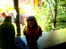 deze 2 papegaaien kwamen op ons balkon zitten in het magnums hostel, airlie beach!