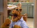 Alf jagt lucky durchs haus