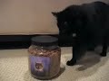Gato abre solo el bote de la comida