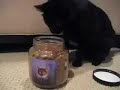Huey opening his jar o\