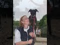 Stella and Zac need a home