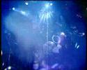 foetus live mighty whity