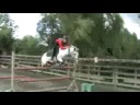 EDE - stages 2oo8