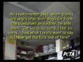 Dog Transplant Place - The Not Happy Turth - Plz View/Sign!