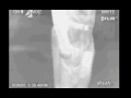 [FUNNY] 