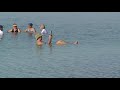 Thumbnail #1