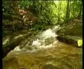Johor Bahru | buy & sale IDR WPI Property