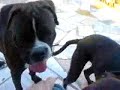 O roky kai i mama tou part 1