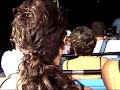 jaws ride son screaming to get off very funny!!