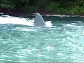 jaws ride son screaming to get off very funny!!