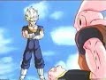 vegito.....downsized part 2