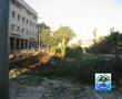 Oujda Pleure ses Arbres