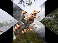 HEL?N T�RK�E VE K�RT�E DUET