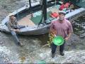Gold Panning on the Rogue River