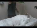 Sprite Sublymonal Messaging Video Project