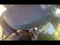 videos de V241208 11 33