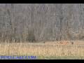 Weekend Adventures: Skeet Shooting