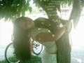 Assistir ao v�deo