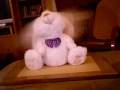 videos de gbn sports marketing teddy bear commercial