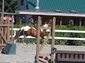 Jasmine and Homer at Maple Ridge