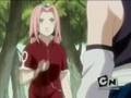 Naruto Capitulo 41 - Español Latino [3-3]