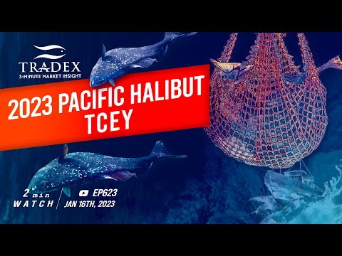 3MMI - 2023 Pacific Halibut TCEY, Armchair Fishermen/High Lease Prices, Difficulty Finding Fish