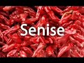 Cinefabrica Senise