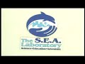 human impact: synthetic sea plastic in the open ocean