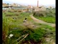 pitbike MECOMOTO
