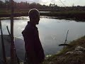 adik fifi-abang di kolam ikan