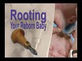 to Root