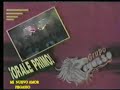 fernandobracho grupero pegasso mi nuevo amor