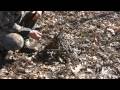 How To Build a Self-Feeding Fire - Wilderness Survival Skills