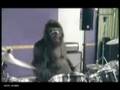 Cadbury Gorilla Eastenders Remix