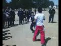 kirvi observa pelea kirvi observa pelea