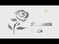 3D Architectural Animation Visualization - Business Center