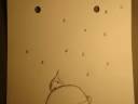 Virginia Tech Animation (AM Class) Virginia Tech Animation (AM Class)