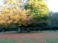 videos de Casa Rural Urbasa Urederra NÂº 192 -Haya y OtoÃ±o 1 -Agroturismo Navarra-20 -28745