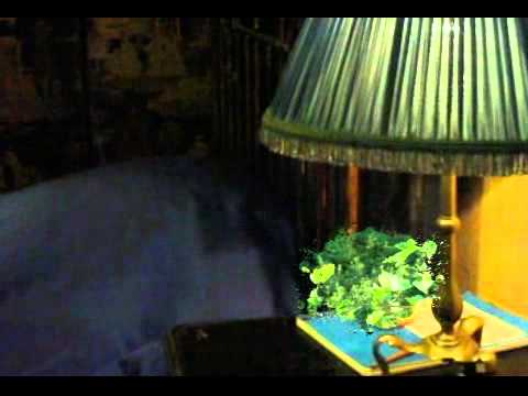 Vid�o de Marcel Proust