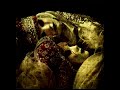 Letra de la cancion Road To Pain [Espanol] - Lacrimosa