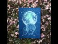Wild Nothing - Your Rabbit Feet [HQ]
